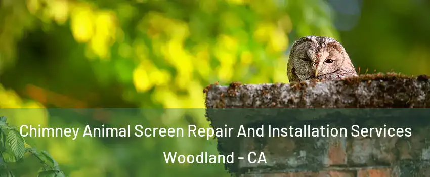  Chimney Animal Screen Repair And Installation Services Woodland - CA