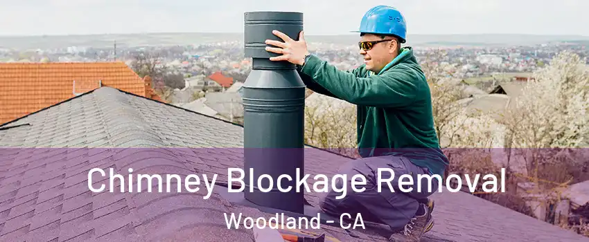  Chimney Blockage Removal Woodland - CA