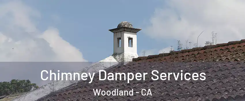  Chimney Damper Services Woodland - CA