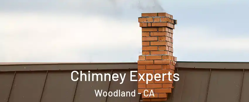 Chimney Experts Woodland - CA