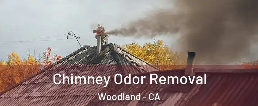  Chimney Odor Removal Woodland - CA