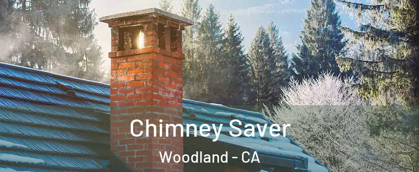 Chimney Saver Woodland - CA