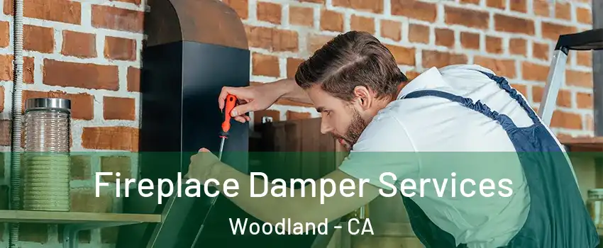  Fireplace Damper Services Woodland - CA
