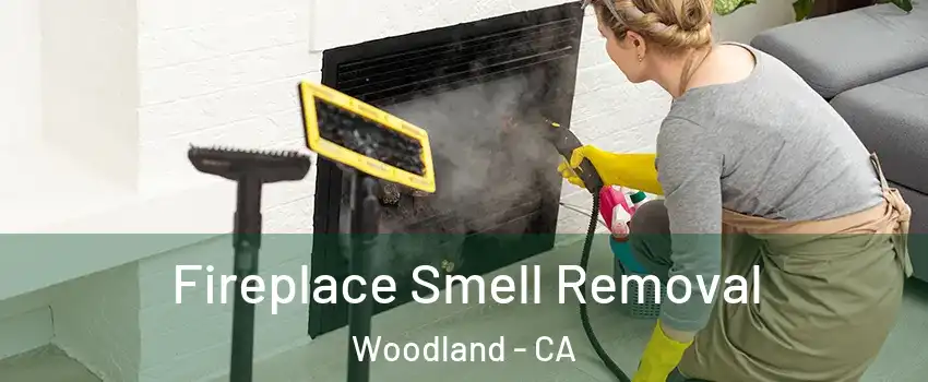  Fireplace Smell Removal Woodland - CA