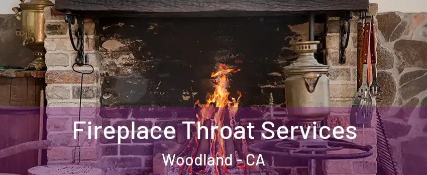  Fireplace Throat Services Woodland - CA