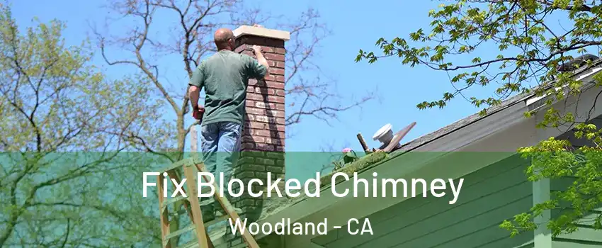  Fix Blocked Chimney Woodland - CA