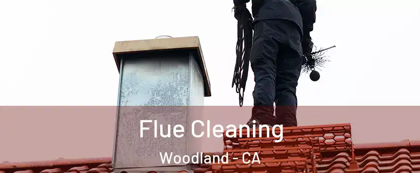  Flue Cleaning Woodland - CA