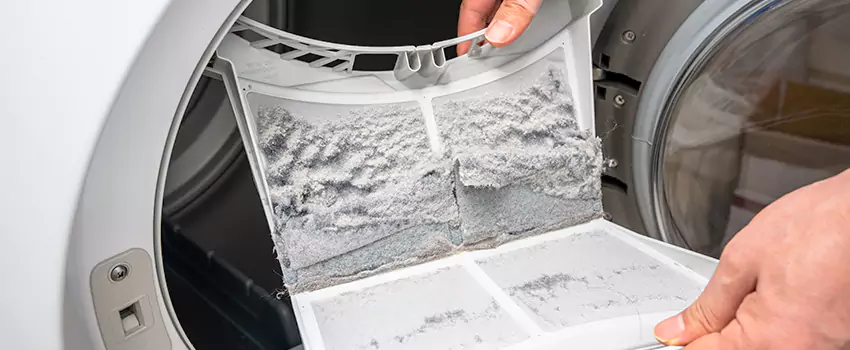 Best Dryer Lint Removal Company in Woodland, California